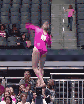 司仪|这是我见过最好看的布偶猫