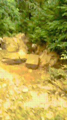 妹子|搞笑GIF趣图：大哥，你这有点太坏了，真是给妹子吓到了