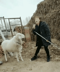 天飞|搞笑GIF趣图：妹子吃个东西还要遮遮掩掩的