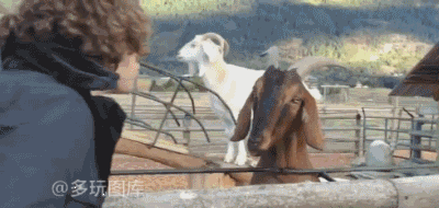 学弟|某大学的学长迫不及待的期盼新学弟到来