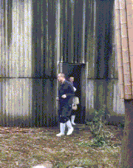 艰难险阻|减肥的路上总是艰难险阻搞笑GIF