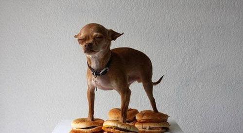 蜘蛛|龙弟弟搞笑段子：新单位上班