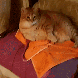 阴影|求新郎心理阴影面积?