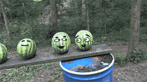 太郎|搞笑GIF趣图:大哥,你在玩球,还是球在玩你