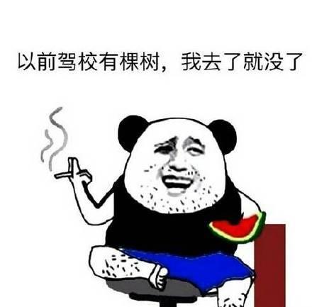 教练|死记硬背考下驾照？回忆那些我们学驾照的搞笑经历！