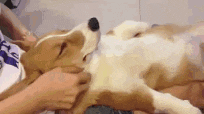 帅哥|搞笑gif：帅哥，你的音乐很嗨嘛~~