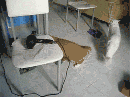 妹子|妹子这嘴型竟可以随意操作，简直逆天了！