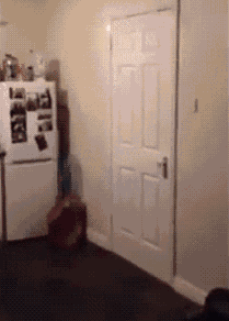 大哥|搞笑GIF：谁在地板上撒油了？