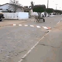 一动不动|爆笑GIF：你看到了什么惊的一动不动！