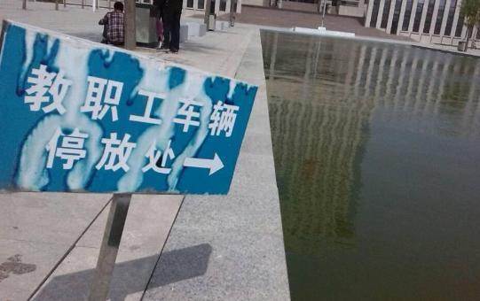 背影|妹子，你这光天化日之下睡得如此安稳也不怕色狼？