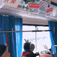 妹子|搞笑GIF趣图：台风确实好大哦，吹得摄影师拿不住机器