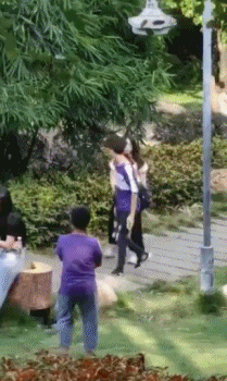 拔草|搞笑GIF:大姐要下雨了,快回家,别再玉米地拔草了