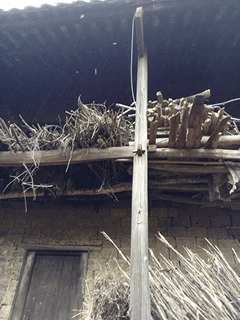 大爷|大爷,你辣瞎了我的眼睛