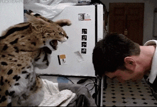 厉害|搞笑GIF: 还以为妹子会有一个完美的表现呢, 可惜没猜中结局