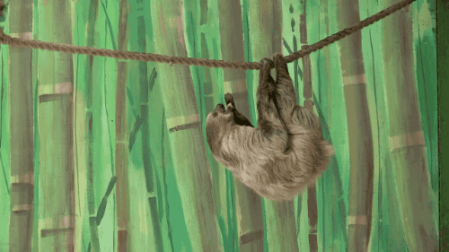 水母|每当不开心时，我都会静静坐着思考人生，想一想人为什么活着？