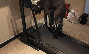 套路|搞笑GIF:新郎,赶紧对着我们笑一个