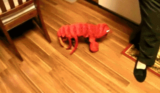 众目睽睽|搞笑GIF：这是不是传说的老不正经