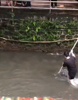 不错|搞笑gif: 少年脚法确实不错，大人的演技也不错