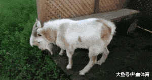 瓶盖|搞笑GIF: 咦,这不是刚才让我帮她拧瓶盖的姑娘吗