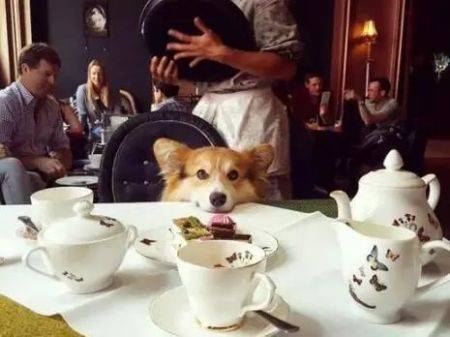 妹子|搞笑GIF：妹子，你到底是遭遇了什么才会让你的牛仔裤变成这样啊。