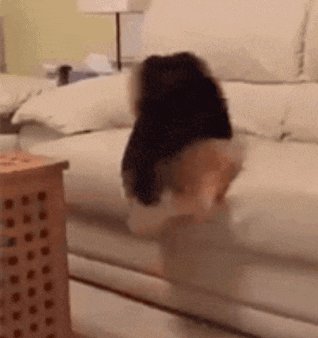 不要|搞笑GIF: 原来烫发是这么烫的, 我读书少你不要骗我