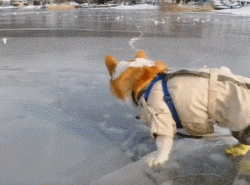 苍天|不信抬头看苍天饶过谁