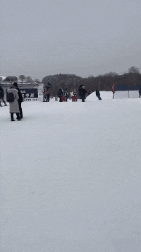 老手|搞笑GIF: 一看这两只猴子就老手, 一个放风, 一个作案