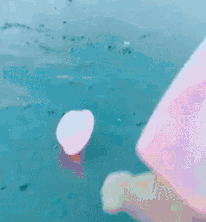 水上漂|搞笑GIF：不收微信支付宝，你说我要是出门不带钱，你让不让我吃