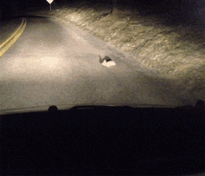 水母|每当不开心时，我都会静静坐着思考人生，想一想人为什么活着？