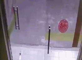 敬明|每日GIF：郭敬明侵犯李枫跟陈学冬？美女遭卡车碾压竟毫发无伤