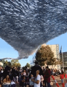 功力|搞笑GIF：这功力可以啊！竟然真的砸不到！