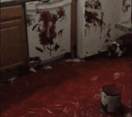 套路|搞笑GIF:新郎,赶紧对着我们笑一个