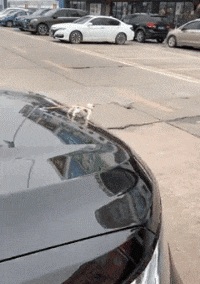 下次|搞笑GIF:别哭了!你看,弟弟都让你亲了!