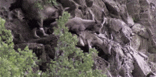 魔术|段子：这个魔术太牛，盯紧看清楚了！