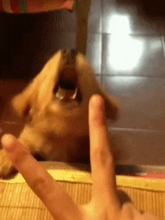 大起大落|人生大起大落, 真是太刺激了!