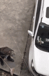 放进|搞笑GIF:我再也不玩这种傻X游戏了