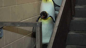 只是|有些女人生气是假的, 她们只是需要男人的理解