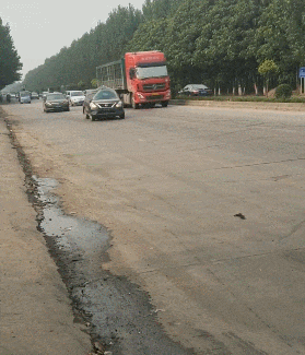 鸡冠|搞笑动态图GIF: 司机你这车今天梳的是鸡冠头吧