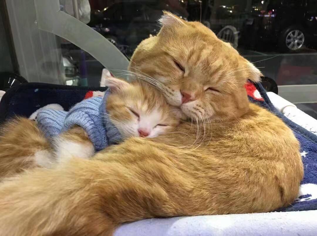 爆笑段子:爱上了一个木讷的男孩子,互相有好感却始终等不到他表白.