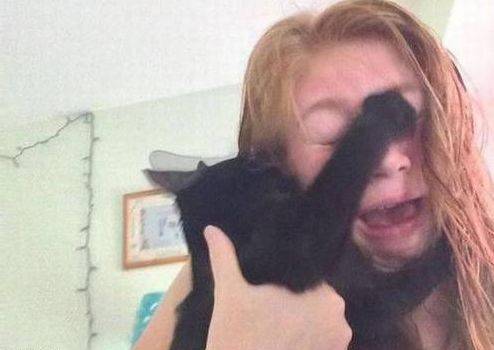 猫粮|搞笑GIF：就一个晚上不陪你，相信你也能挺过去！