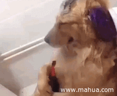 长辈|搞笑十张图:过年跟长辈说你还单身时,长辈的反应