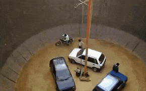 黄蜂|搞笑GIF: 曾经有一只黄蜂,和一只螳螂产生了爱情……