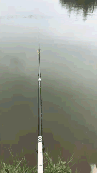 表演|看到最后一个表演, 我的血压有点高。