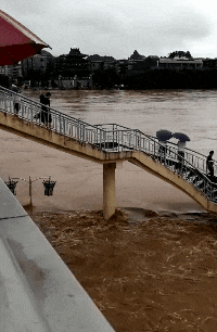 大哥|搞笑GIF趣图:请问,你把车停进去了,然后怎么出来?