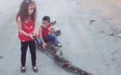 这是|搞笑GIF趣图:你这是何苦呀,看着都觉得好疼啊