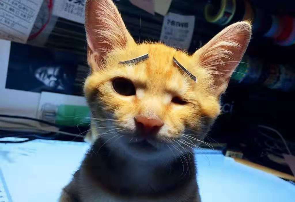 舅舅|开心一刻笑话：夜里电话响了，是一个男生打来的，说是找我