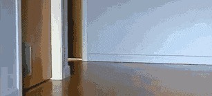 小明|开心趣图:搞笑动图宠物图片幽默段子来喽