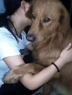 大写|搞笑GIF趣图:互联网时代,一不小心就会上头条