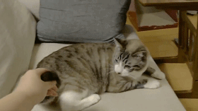 表演|看到最后一个表演, 我的血压有点高。