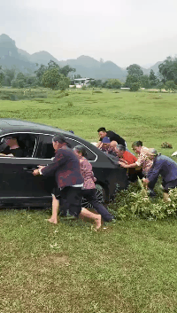 妹子|搞笑GIF:你们认为是这狗的错还是人的错